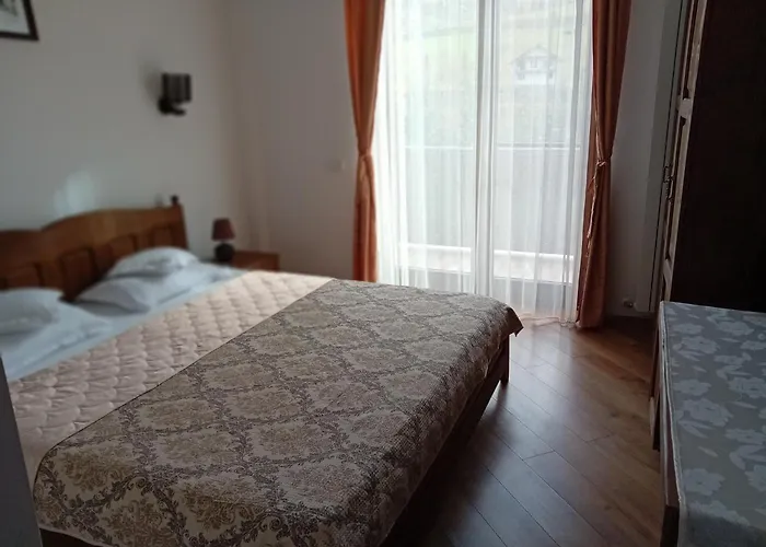 Pensiunea Delia Vatra Moldoviţei